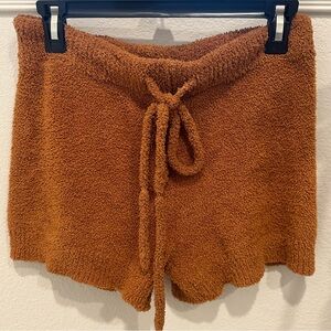 Cozy Teddy Shorts